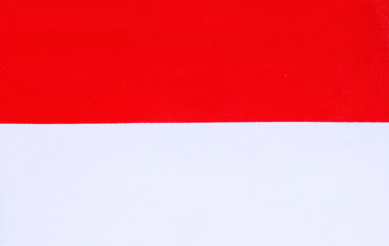 Indonesia Flag